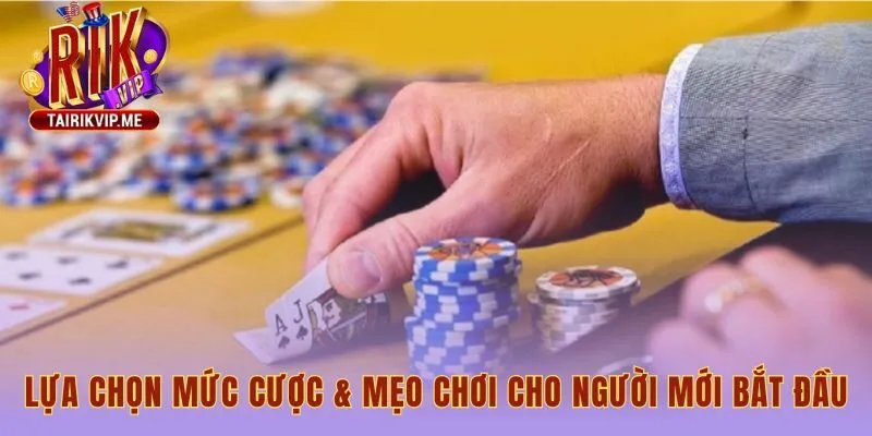 Mẹo chơi cho người mới tập trung quản lý vốn và sự kiên nhẫn